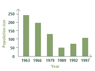 graph1