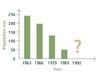 graph2