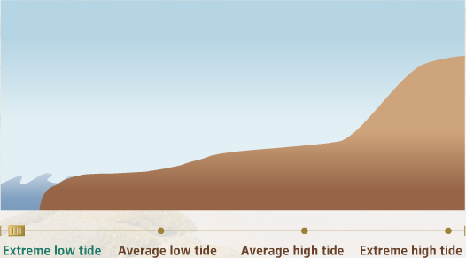 tidalpattern.swf