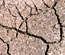 soil avatar