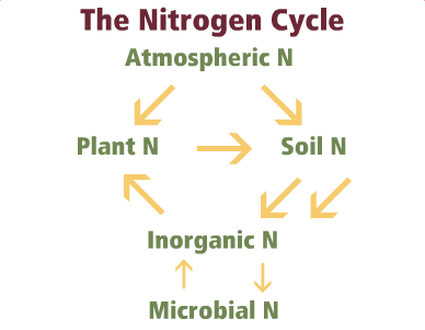 nitrogen01.swf