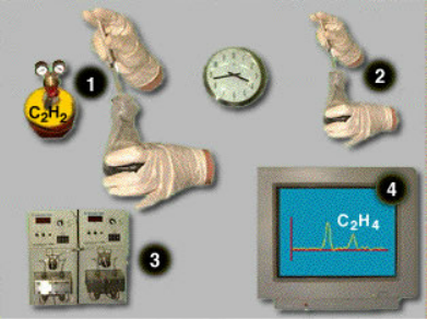 nitrogen04.swf